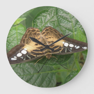 Reloj de pared de mariposa de acristalamiento trop