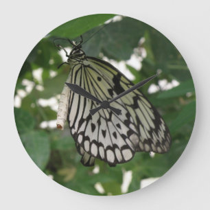 Reloj de pared de mariposa de cometa de papel trop