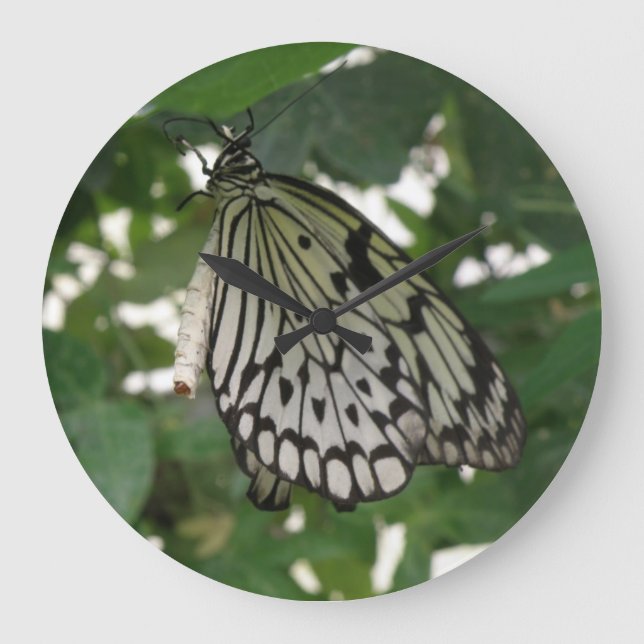 Reloj de pared de mariposa de cometa de papel trop (Anverso)