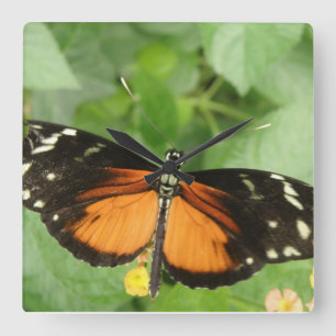 Reloj de pared de mariposa de larga duración del t