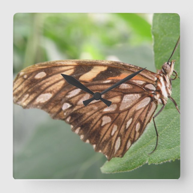 Reloj de pared de mariposa marrón bonito (Anverso)
