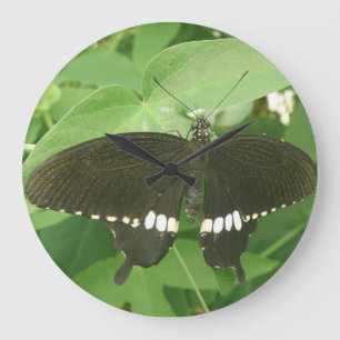 Reloj de pared de mariposa morena común