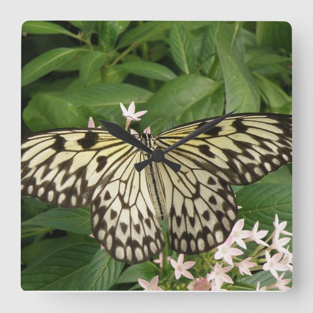 Reloj de pared de mariposa Paper Kite (Anverso)