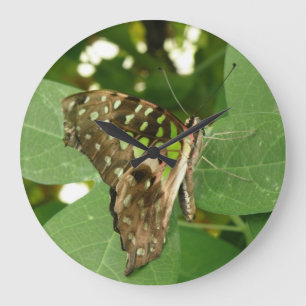 Reloj de pared de mariposa verde tropical irlandés
