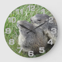Reloj de pared de marmotas