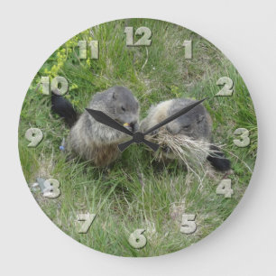 Reloj de pared de marmotas