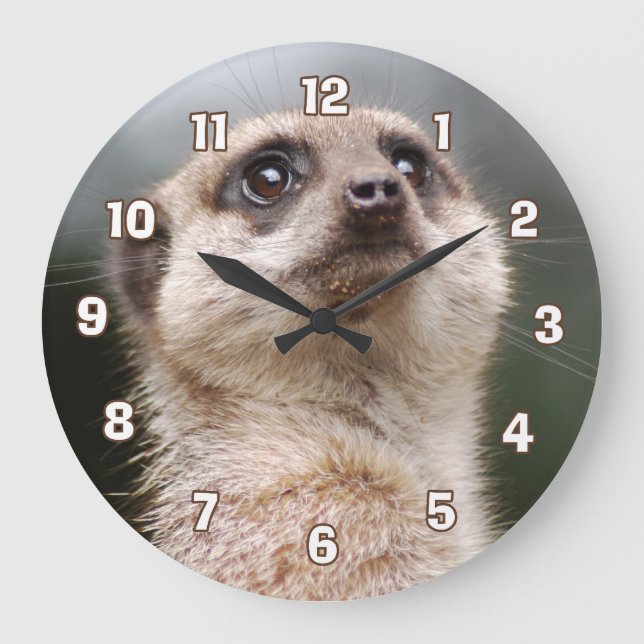 Reloj de pared de Meerkat (Anverso)