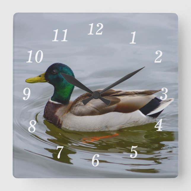 Reloj de pared de natación de Swim Mallard (Anverso)