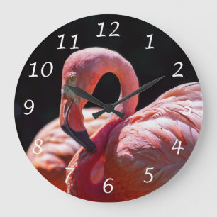 Reloj de pared de pájaro Flamingo rosa