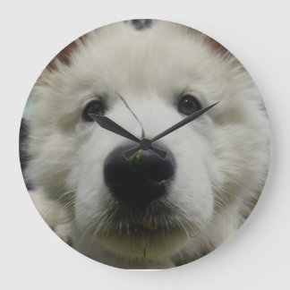 Reloj de pared de perro de pastor suizo - Perro de