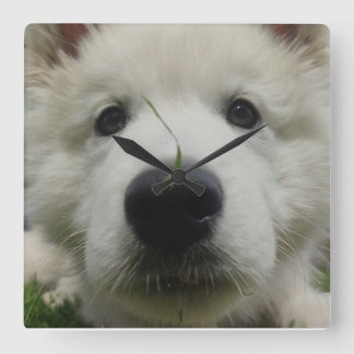 Reloj de pared de perro de pastor suizo - Perro de