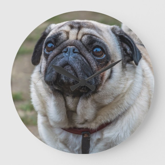 Reloj de pared de perro de pug (Anverso)