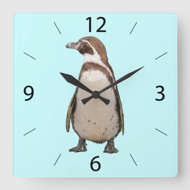 Reloj de Pared de Pingüino (Anverso)