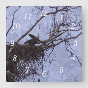 Reloj de pared de pintura de búsqueda de águila