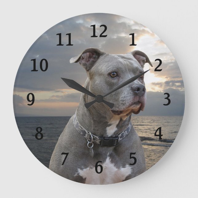 Reloj de pared de Pitbull de Guardian (Anverso)