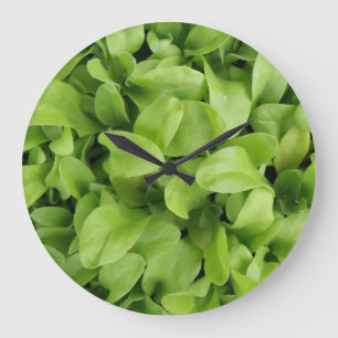 Reloj de pared de plántulas de Marigold