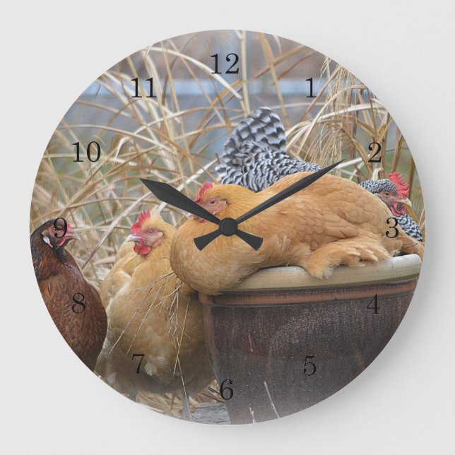 Reloj de pared de pollo (Anverso)
