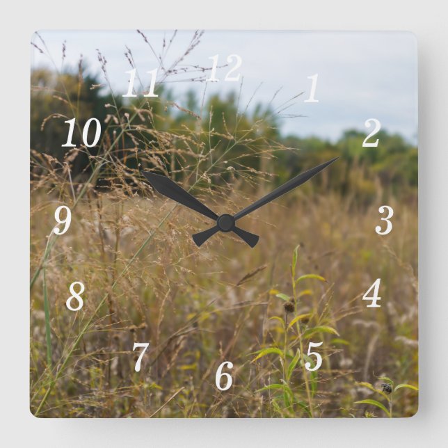 Reloj de pared de pradera sobrepasado (Anverso)