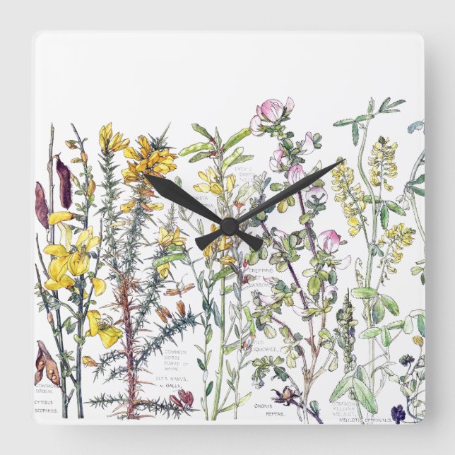 Reloj de pared de praderas de flores silvestres bo (Anverso)