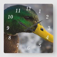 Reloj de pared de retrato mallorquín masculino