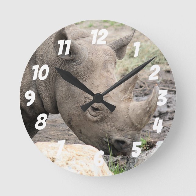 Reloj de pared de rinoceronte negro (Anverso)