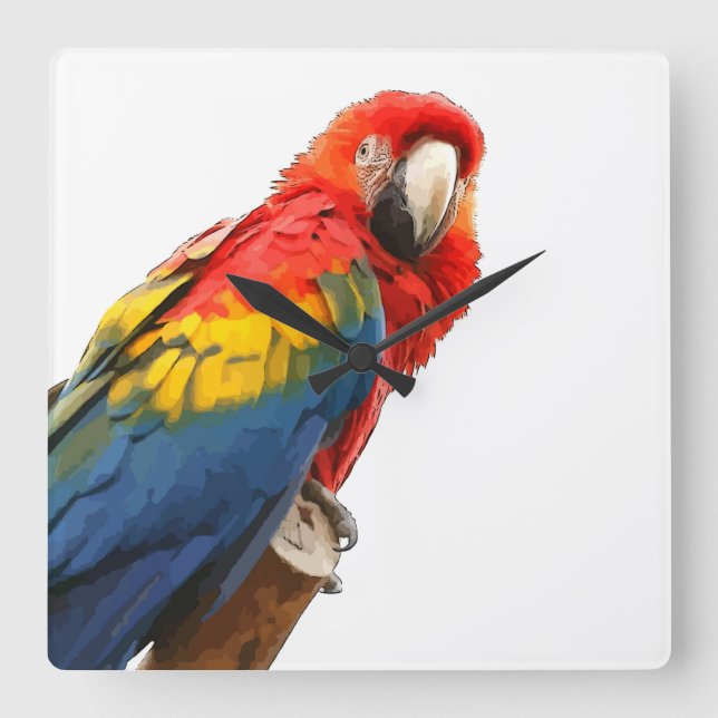 Reloj de pared de Scarlet Macaw Square (Anverso)