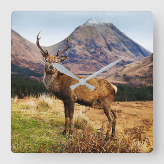 Reloj de pared de Stag