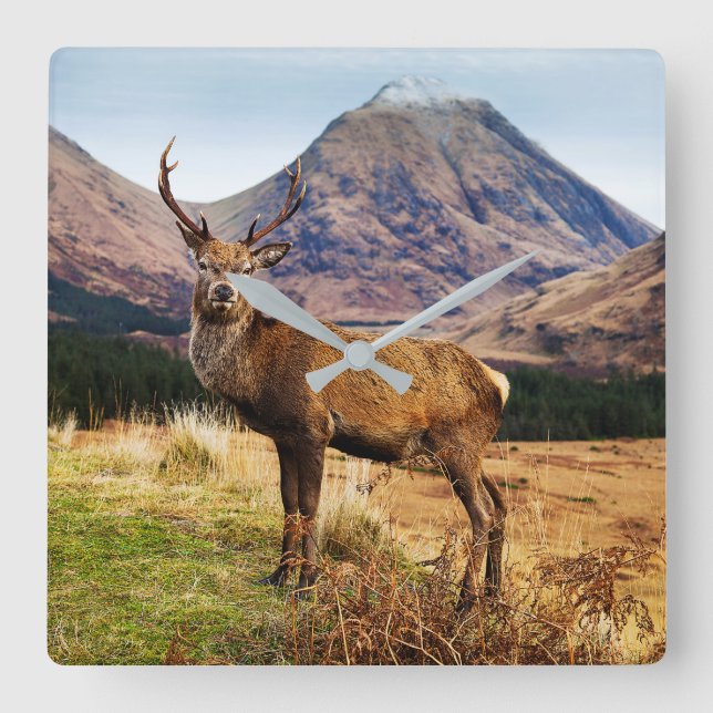 Reloj de pared de Stag (Anverso)
