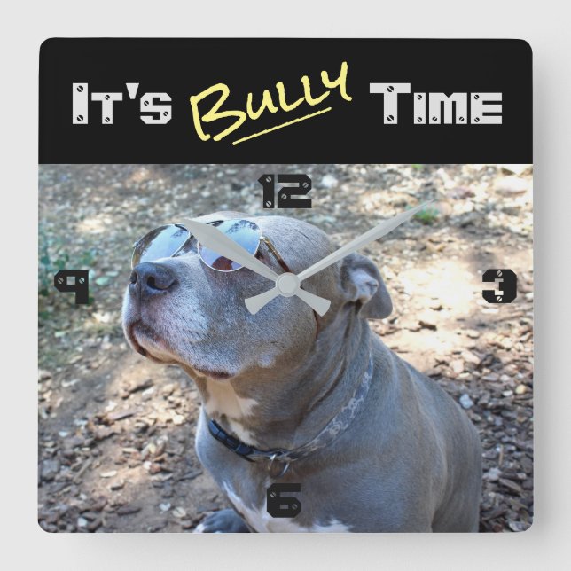 Reloj de pared de tiempo de bulto de Guay Pitbull (Anverso)