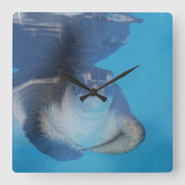 Reloj de pared de tortugas del mar del bebé (Anverso)