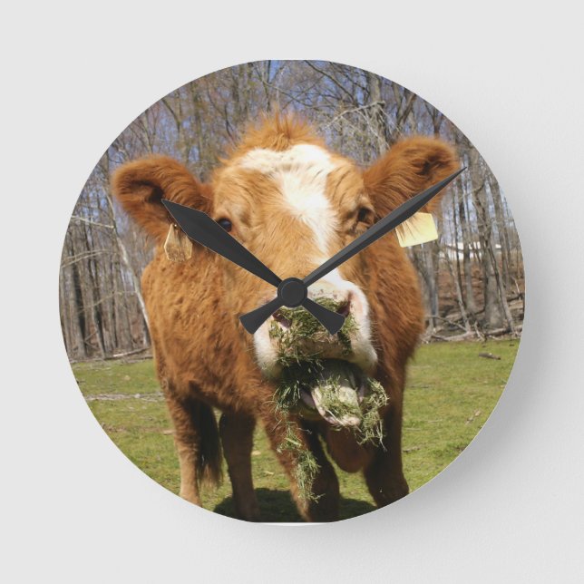 Reloj de pared de vaca (Anverso)