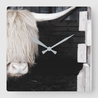 Reloj de pared de vaca Highland, acrílico cuadrado