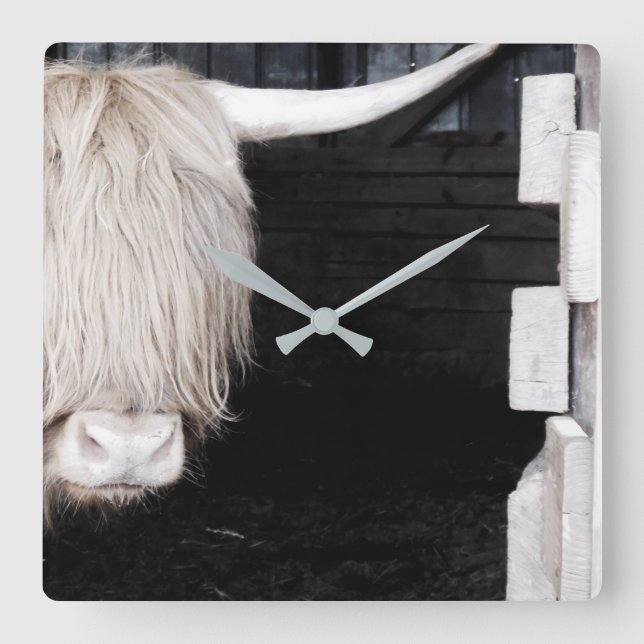 Reloj de pared de vaca Highland, acrílico cuadrado (Anverso)