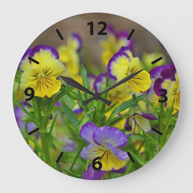 Reloj de pared de Viola (Anverso)