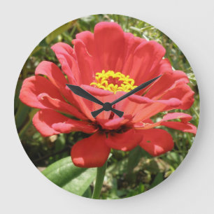Reloj de pared de zinnia roja