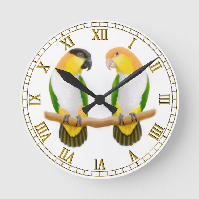 Reloj de pared del amor del loro del caique (Anverso)