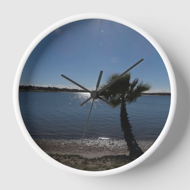 Reloj de pared del árbol de palmas de San Diego (Anverso)