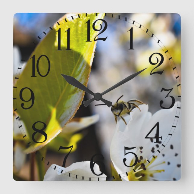 Reloj de pared del arte de la abeja (Anverso)