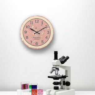 Reloj de pared del arte de la histología