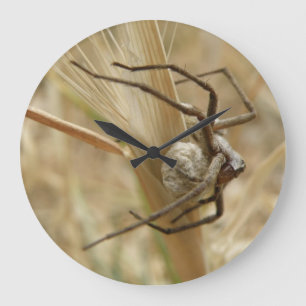 Reloj de pared del barco de araña y huevo