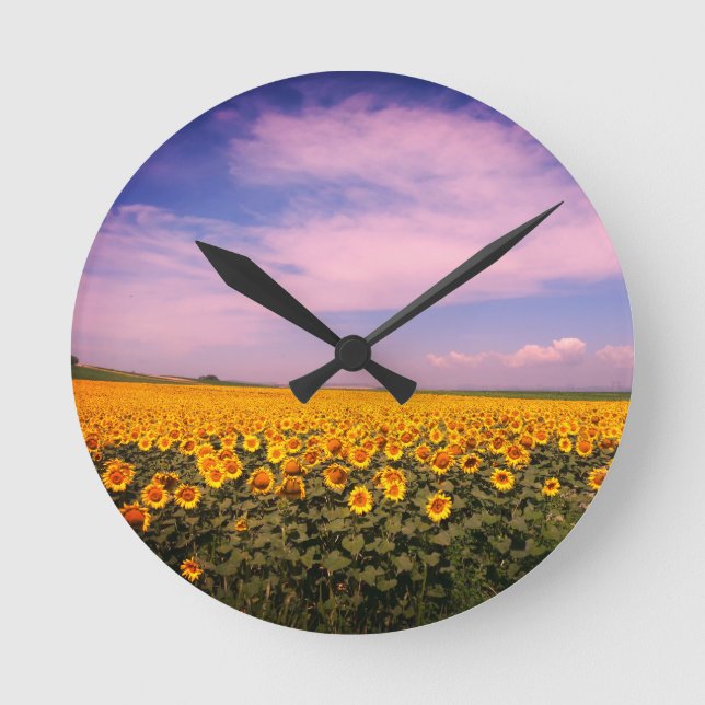 Reloj de pared del campo del girasol (Anverso)