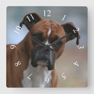 Reloj de pared del cuadrado del retrato del perro