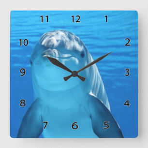 Reloj de pared del delfín