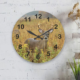 Reloj de pared del dólar del Whitetail de la