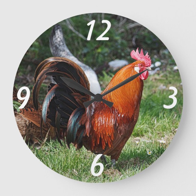 reloj de pared del gallo (Anverso)