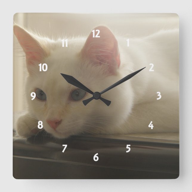 Reloj de pared del gatito (Anverso)
