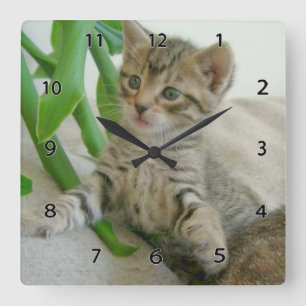 Reloj de pared del gato