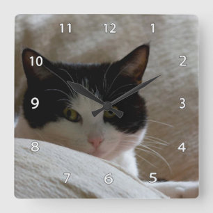 Reloj de pared del gato