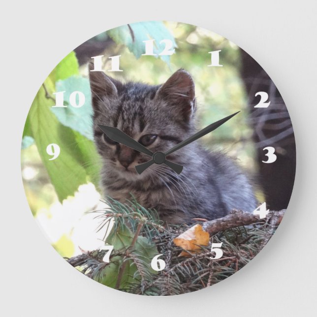 Reloj de pared del gato del bebé de la foto del (Anverso)