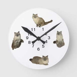 Reloj de pared del gato siamés